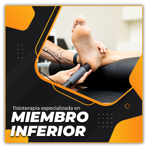 fisio cerca de mi